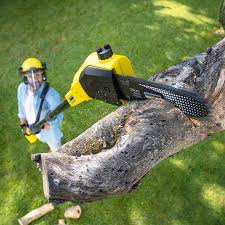  Ives Estates, FL Tree Services Pros